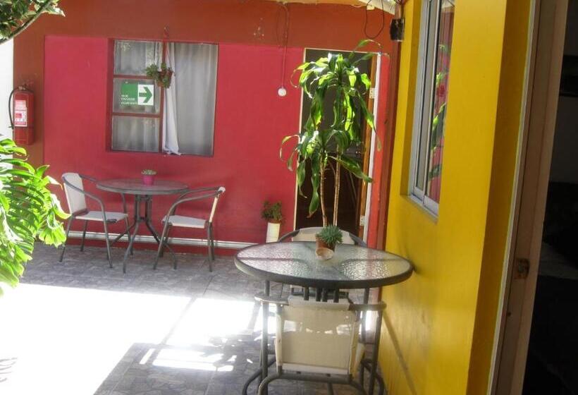 فندق صغير Hostal Michel