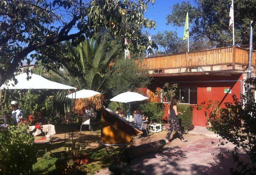 فندق صغير Hostal Michel