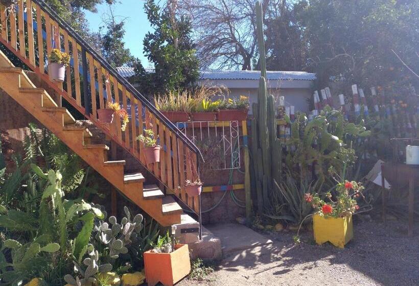 فندق صغير Hostal Michel