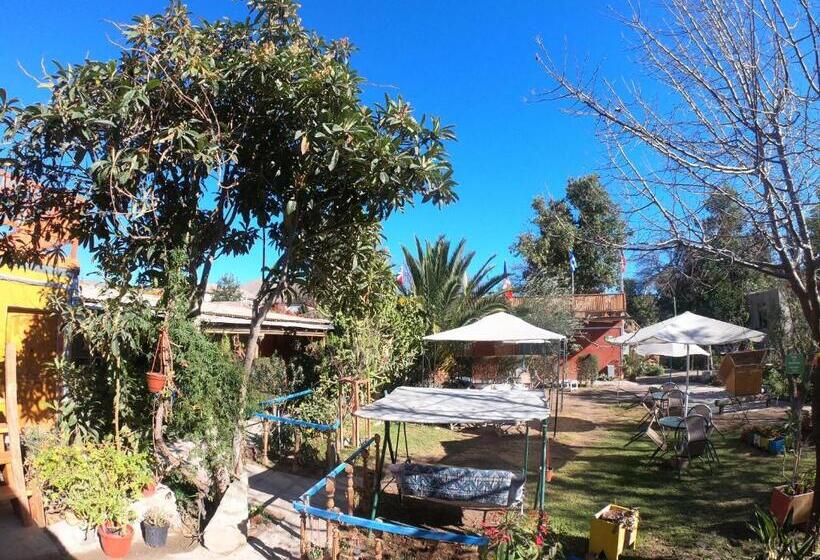 فندق صغير Hostal Michel