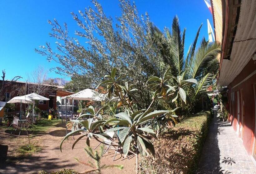 فندق صغير Hostal Michel