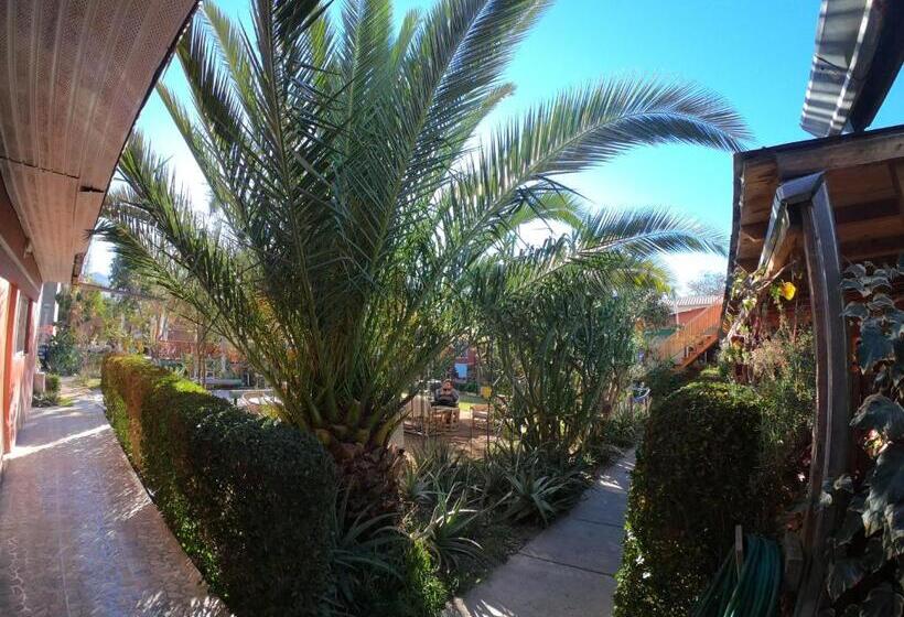 فندق صغير Hostal Michel