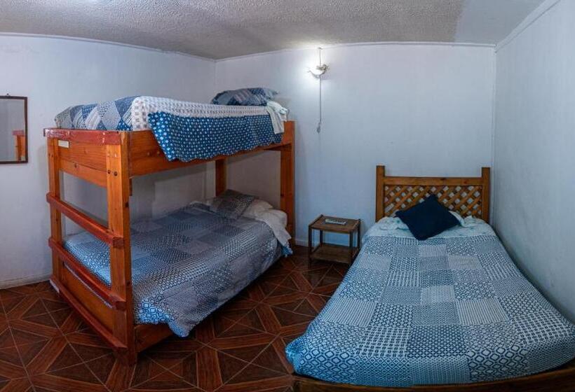 فندق صغير Hostal Michel