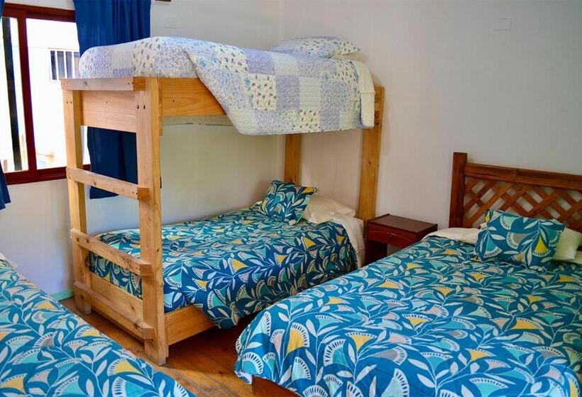 فندق صغير Hostal Michel