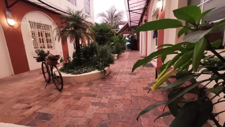 فندق صغير Hostal Yakumama