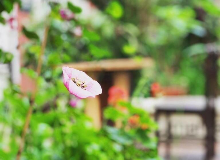 ユースホステル Hostal Yakumama