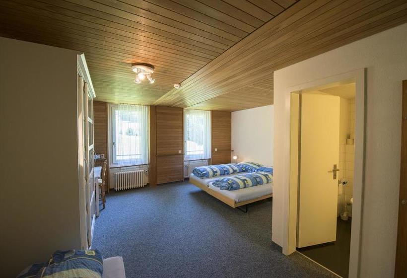 Общежитие Juhui Lenzerheide