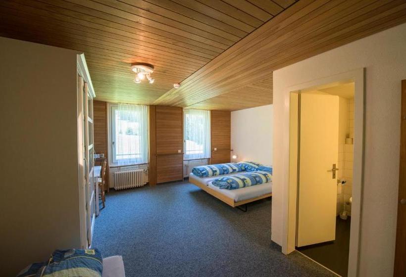 Общежитие Juhui Lenzerheide