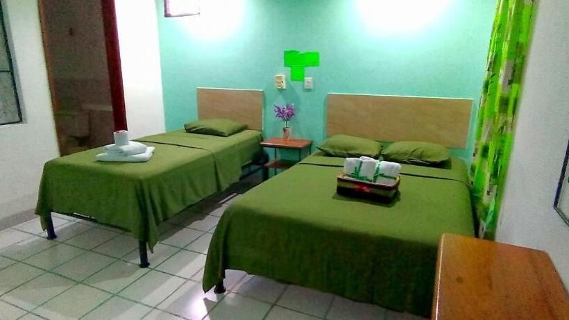 ユースホステル Posada Nacha`n Ka`an