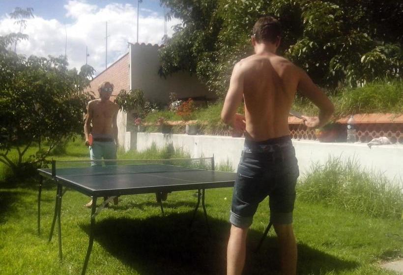 Villa Oropeza Hostel