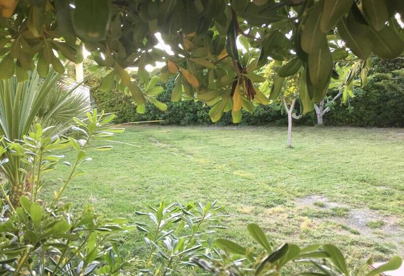 B&b Villa Striari