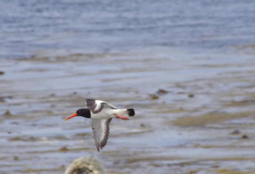 住宿加早餐 Bru Chlann Lir