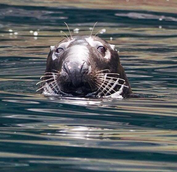 住宿加早餐 Bru Chlann Lir