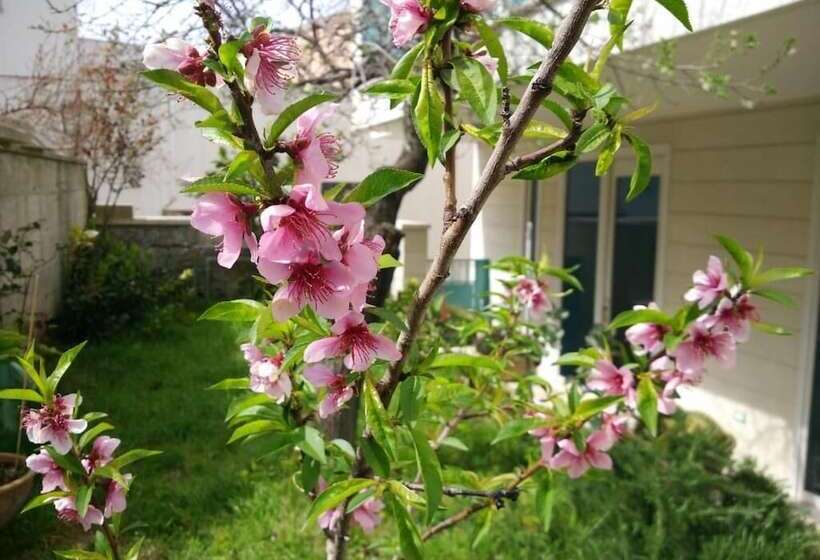 B&b Camere Borgo