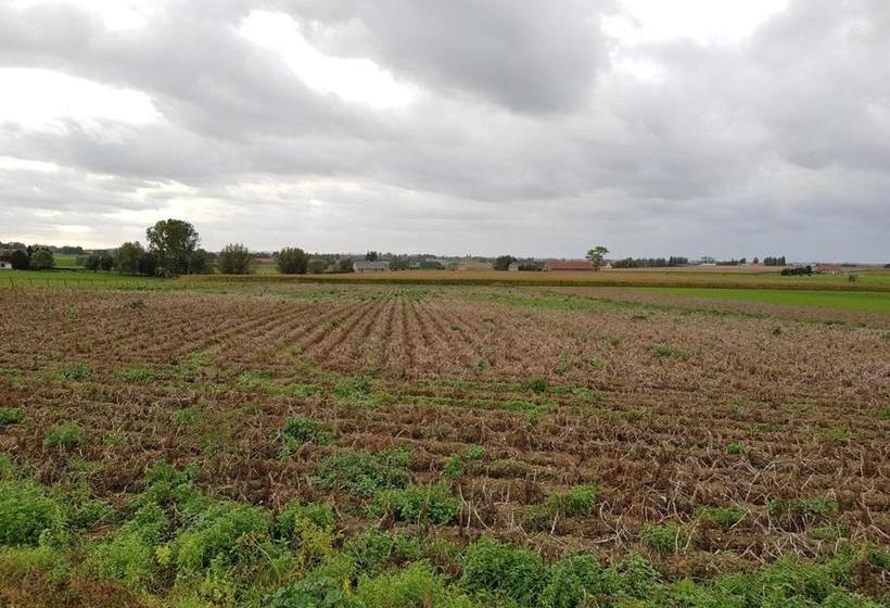 住宿加早餐  De Kouterhoeve