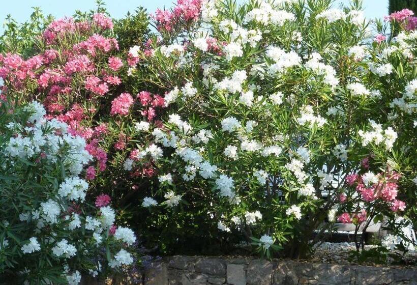 צימר L Escale Provençale