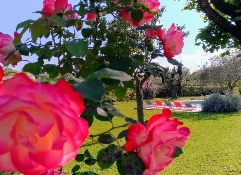 צימר L Escale Provençale