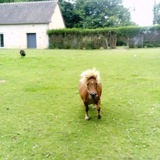 ベッドアンドブレックファースト 7 , Le Haut Montrayé