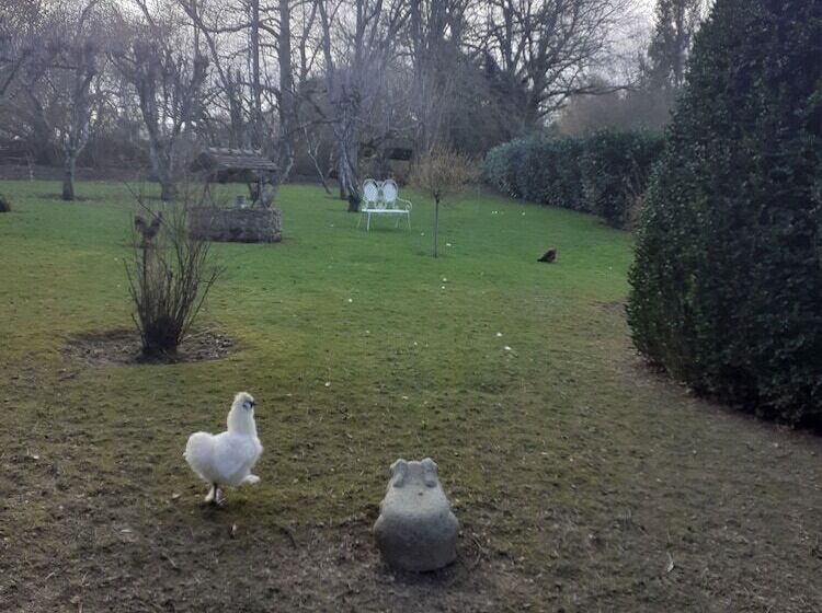 ベッドアンドブレックファースト 7 , Le Haut Montrayé