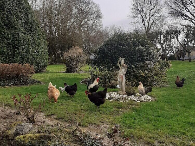 ベッドアンドブレックファースト 7 , Le Haut Montrayé