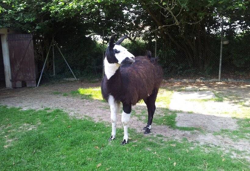 ベッドアンドブレックファースト 7 , Le Haut Montrayé