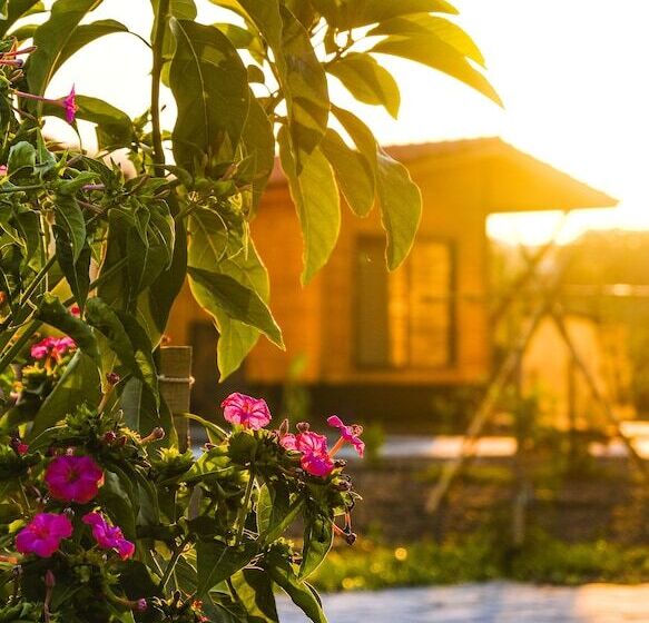 צימר Lemon Garden Lodge