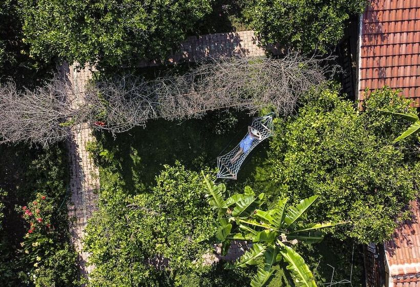 تختخواب و صبحانه Lemon Garden Lodge