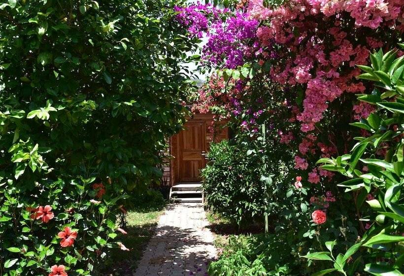 צימר Lemon Garden Lodge