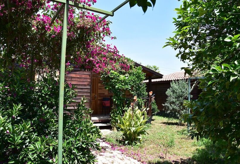 צימר Lemon Garden Lodge