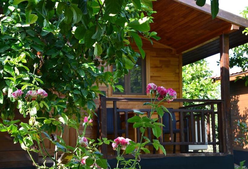 تختخواب و صبحانه Lemon Garden Lodge