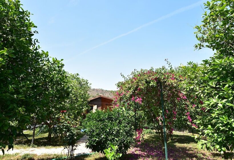 צימר Lemon Garden Lodge