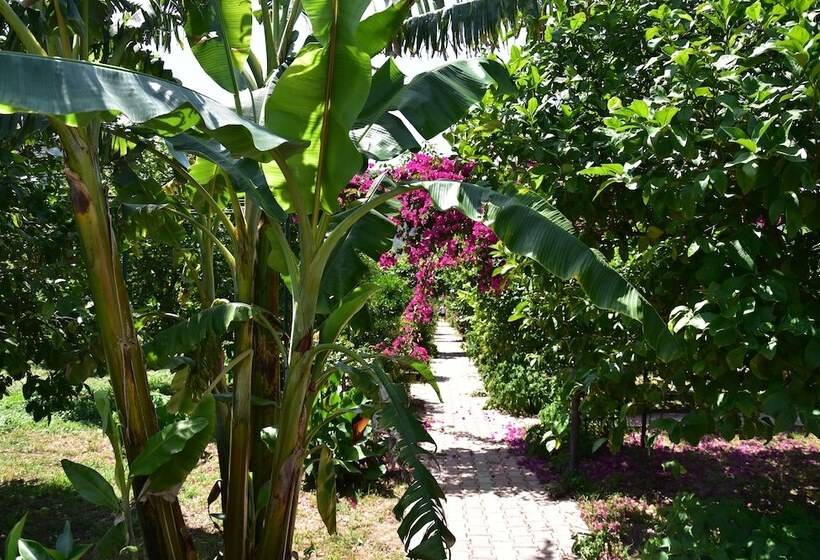 تختخواب و صبحانه Lemon Garden Lodge