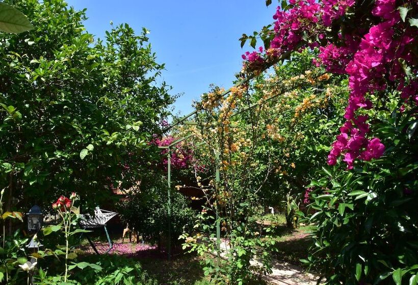 צימר Lemon Garden Lodge