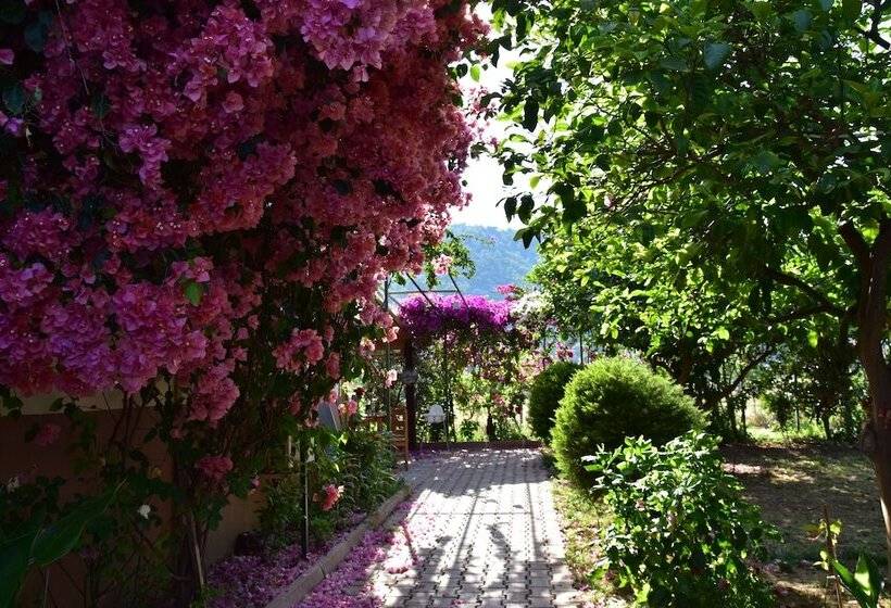 צימר Lemon Garden Lodge