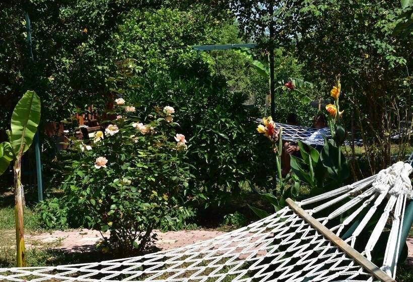 تختخواب و صبحانه Lemon Garden Lodge