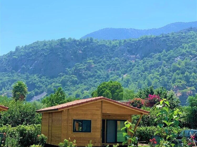 تختخواب و صبحانه Lemon Garden Lodge