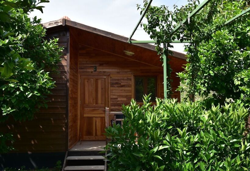 צימר Lemon Garden Lodge