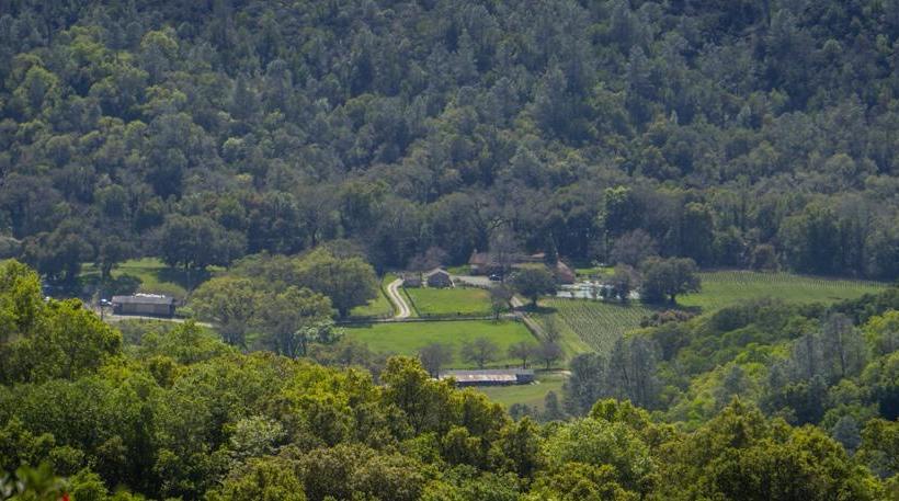 Bed and Breakfast Rustridge Ranch & Winery