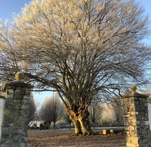 ベッドアンドブレックファースト The Carriage Houses At Beechpark House