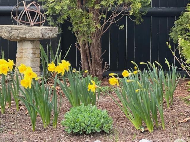 مبيت وإفطار The Platinum Pebble Boutique Inn   Adults Only Property