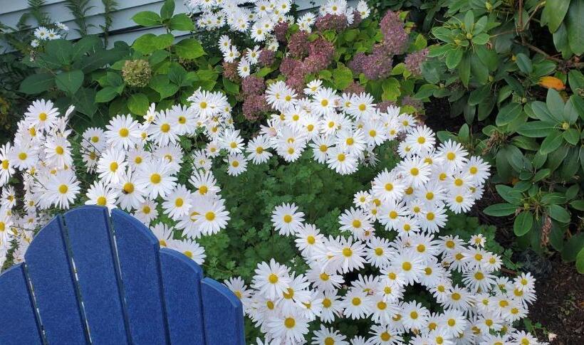 مبيت وإفطار The Platinum Pebble Boutique Inn   Adults Only Property