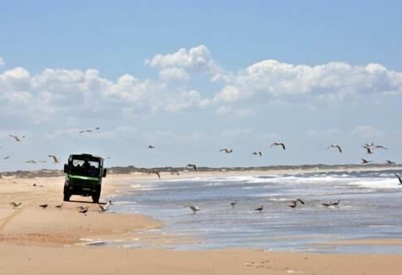 Hospedarte Arenas De El Rocio