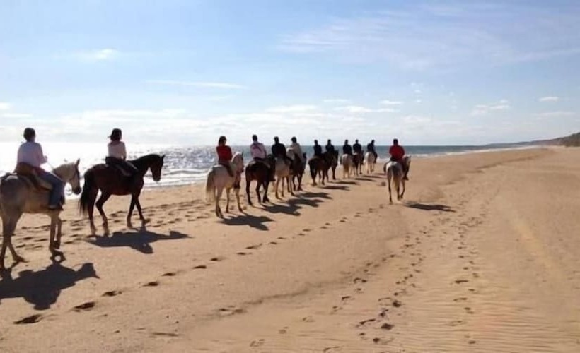 Hospedarte Arenas De El Rocio