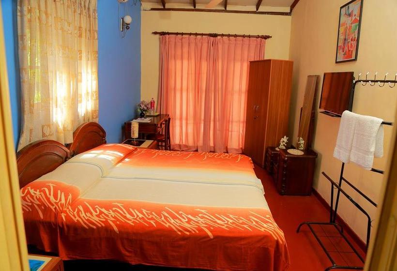 Holiday Nest Bed & Breakfast