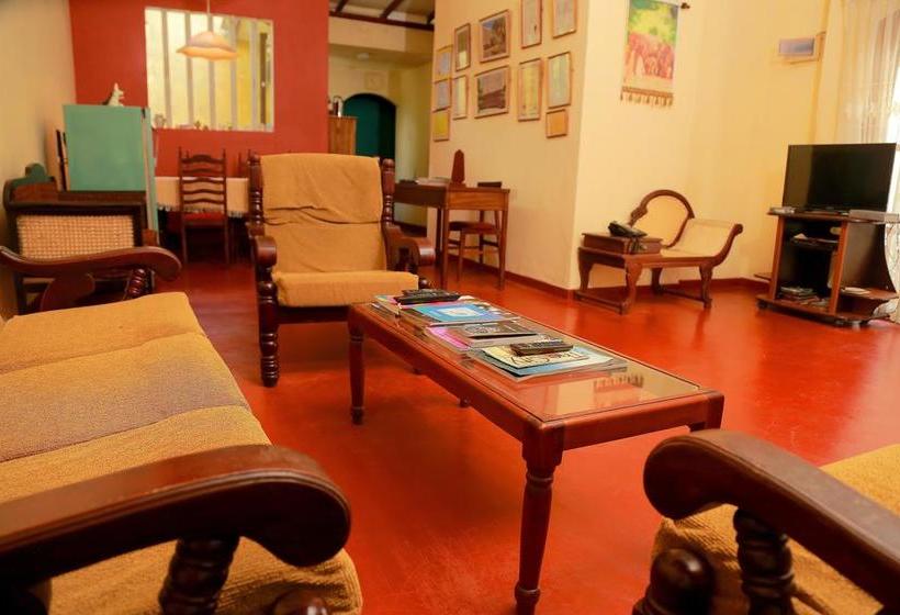 Holiday Nest Bed & Breakfast