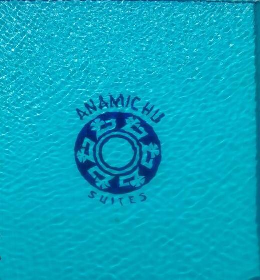 בית מלון כפרי Anamichu Suites