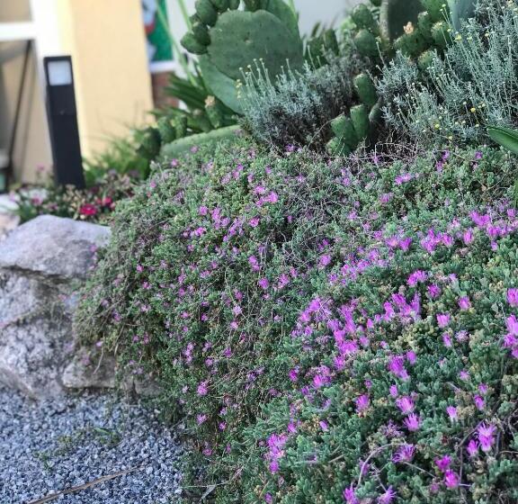 酒店 Descanso Las Tres Marias Apart