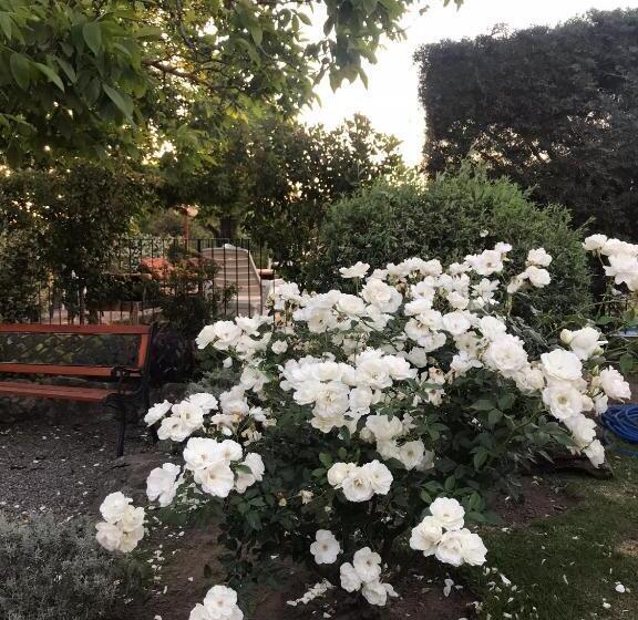 هتل Descanso Las Tres Marias Apart