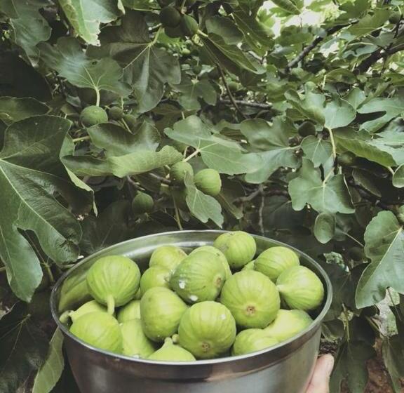 酒店 Descanso Las Tres Marias Apart