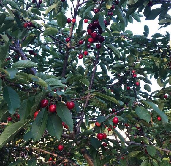 酒店 Descanso Las Tres Marias Apart